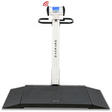 Detecto 6550 Wheelchair Scale Portable Digital