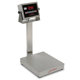 Detecto EB-15-205 Stainless Steel Bench Scale-15-lb capacity