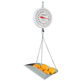 Detecto MCS-40DP Scoop Scale-40-lb capacity