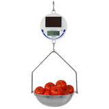 Detecto SCS30 Legal for Trade Solar Hanging Scale