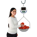 Detecto SCS30 Legal for Trade Solar Hanging Scale