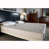 Transfer Master B310-H Supernal Hi-Low Bed-Ascent 1-Queen-Bamboo